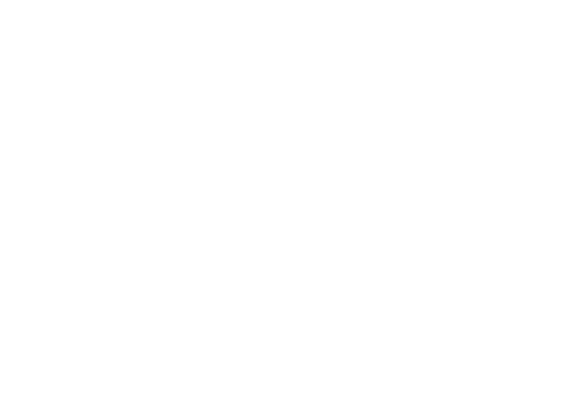 Wanaka Hotel
